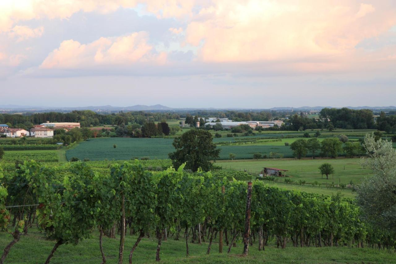 Vila Ronc Dai Luchis Faedis Exteriér fotografie
